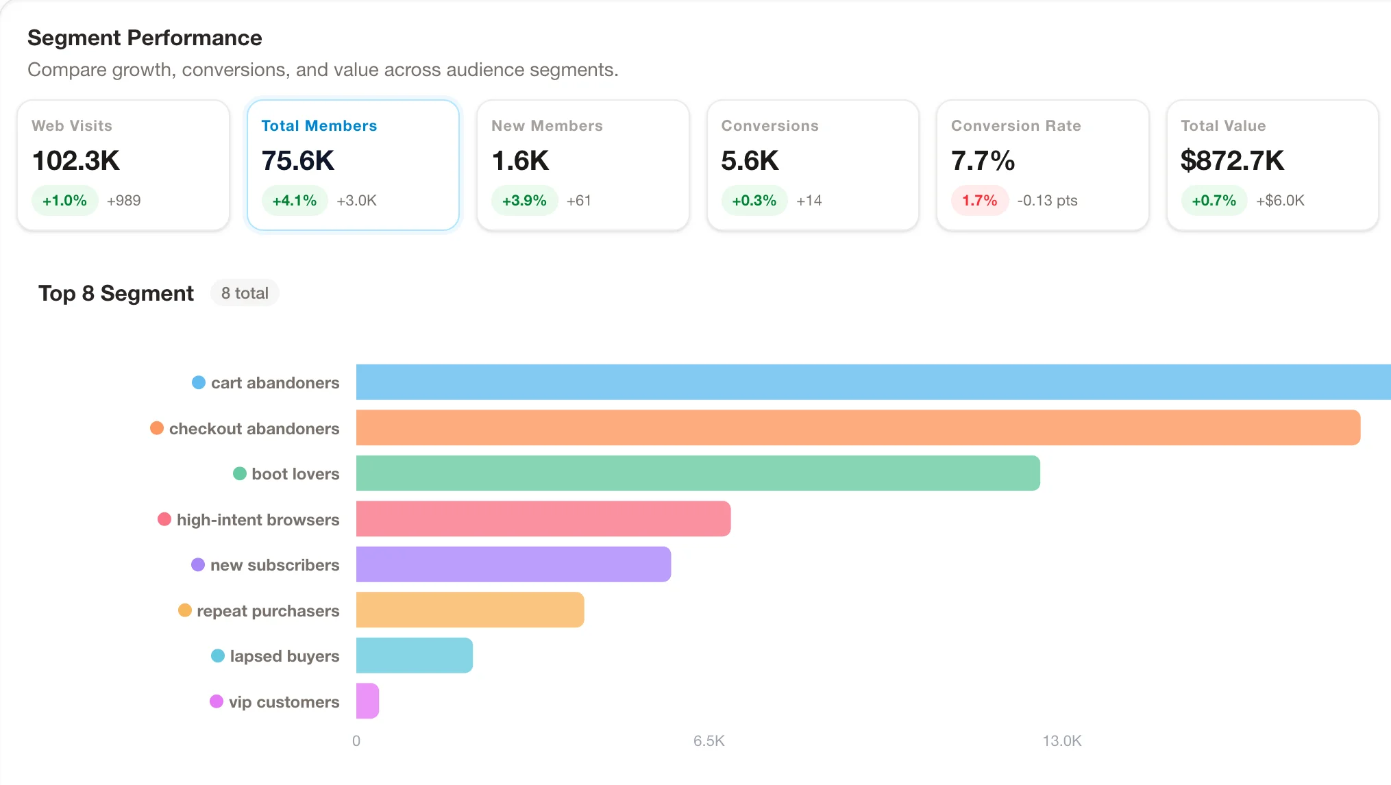 A high-value customer segment used as an audience seed and conversion signal